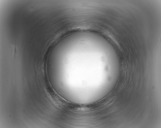 X0000076340212200609290927