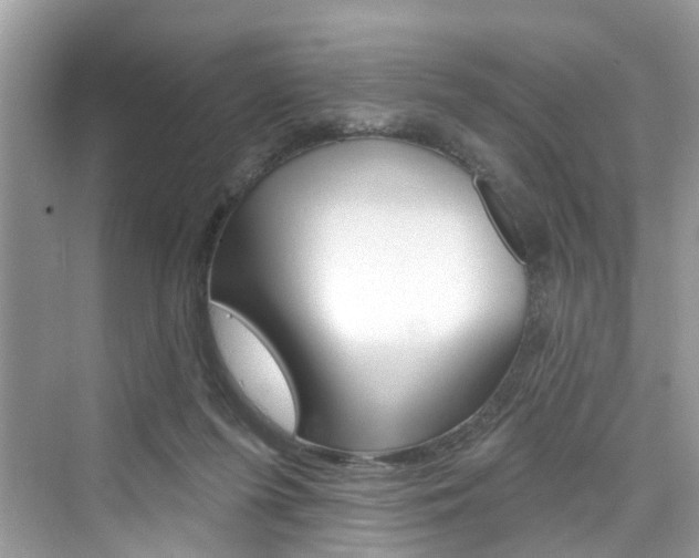 X0000076340215200609290927