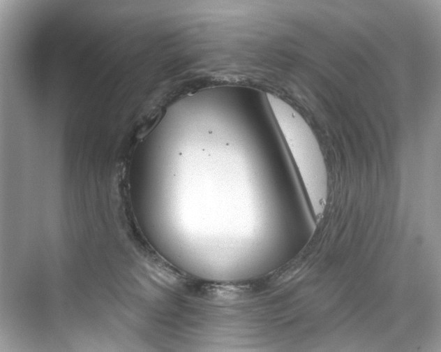 X0000076340229200609290927