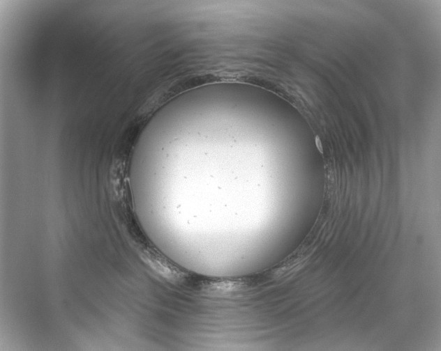 X0000076340237200609290927