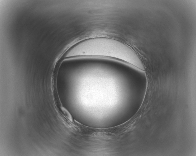 X0000076340244200609290926
