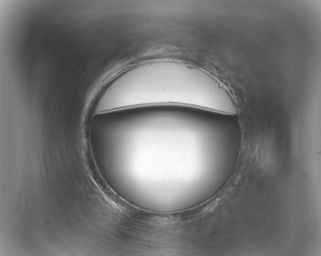 X0000076340245200609290926