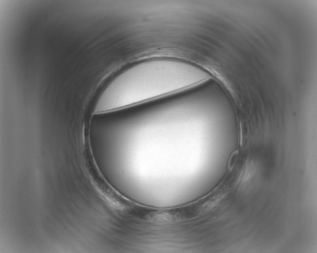 X0000076340253200609290926