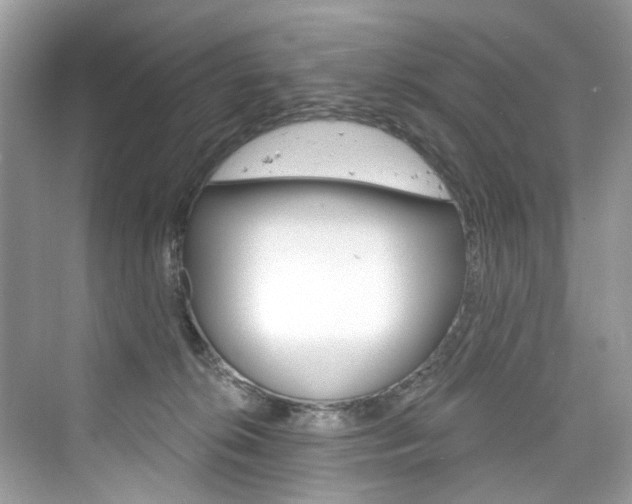 X0000076340276200609290926