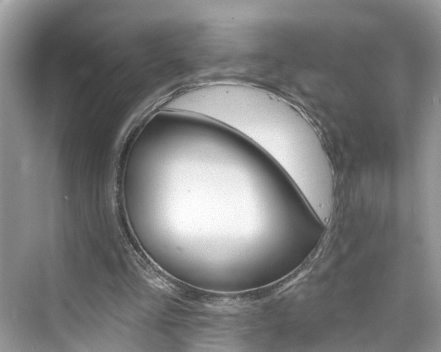 X0000076340293200609290926