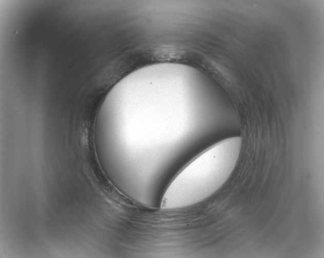 X0000076340315200609290925