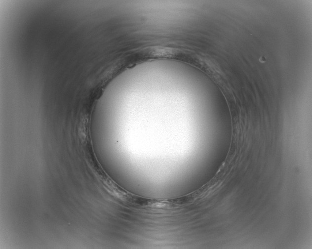 X0000076340325200609290925