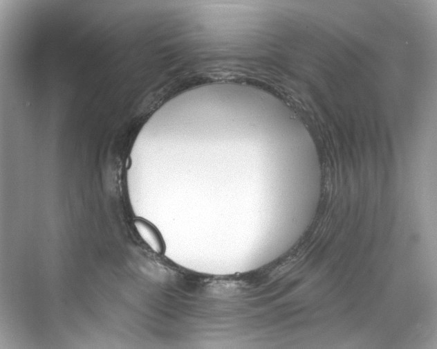 X0000076340332200609290925