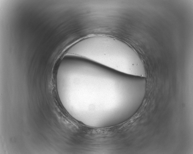 X0000076340338200609290924