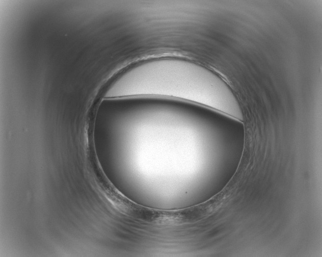 X0000076340350200609290924