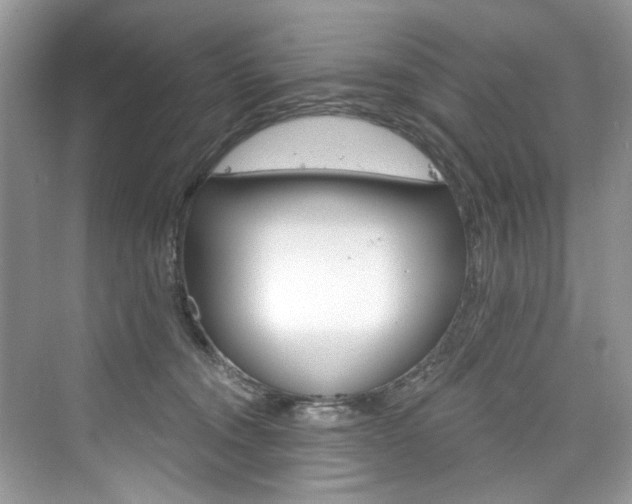 X0000076340372200609290925