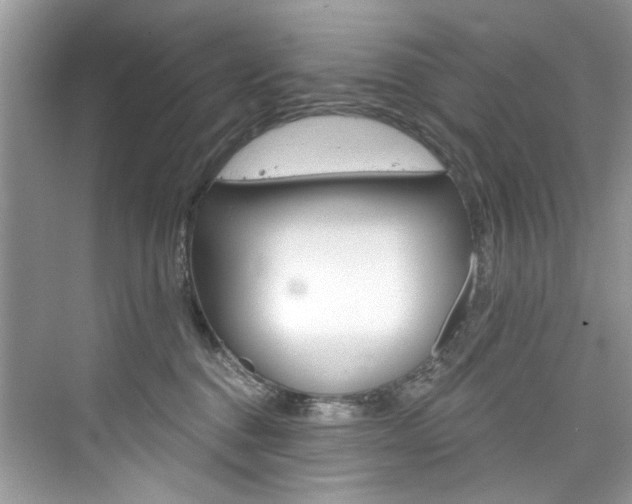 X0000076340376200609290925