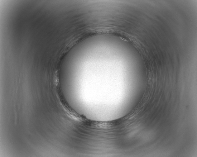 X0000076340383200609290925