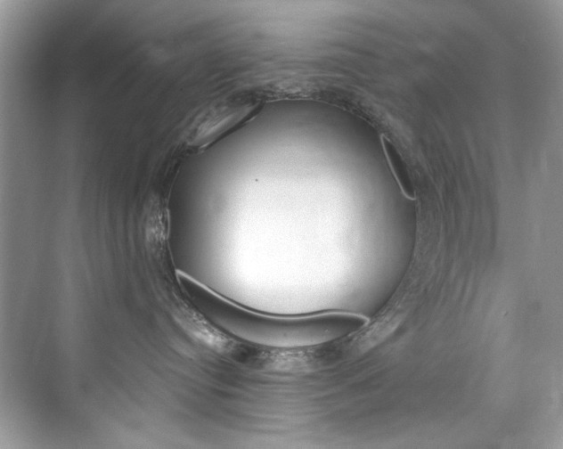 X0000076340384200609290925