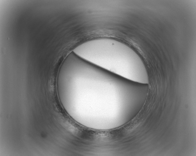 X0000076340402200609290924