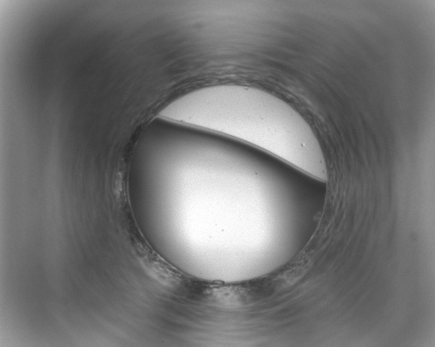 X0000076340417200609290924