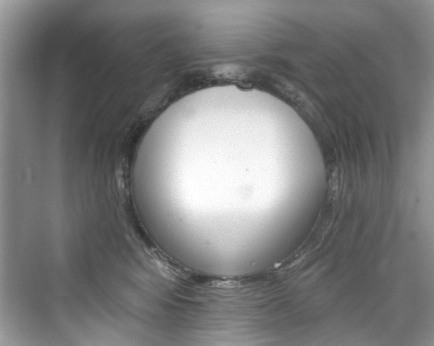 X0000076340424200609290924