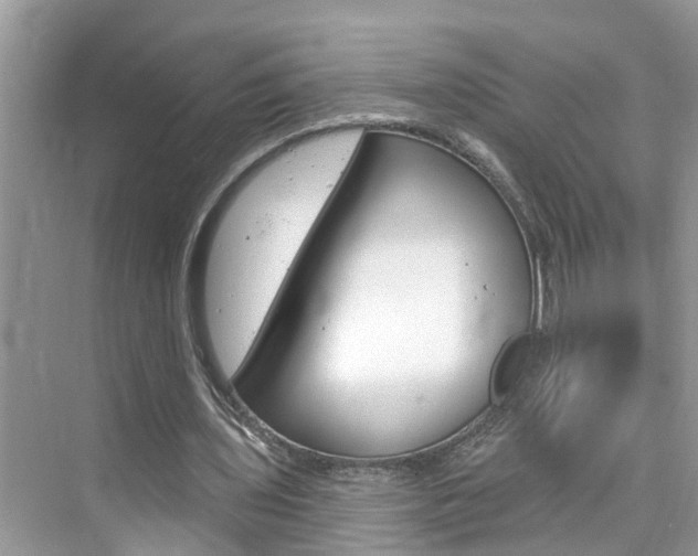 X0000076340435200609290923