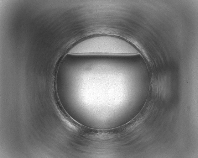 X0000076340445200609290923