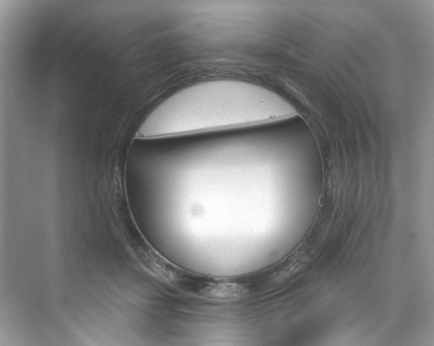 X0000076340459200609290923