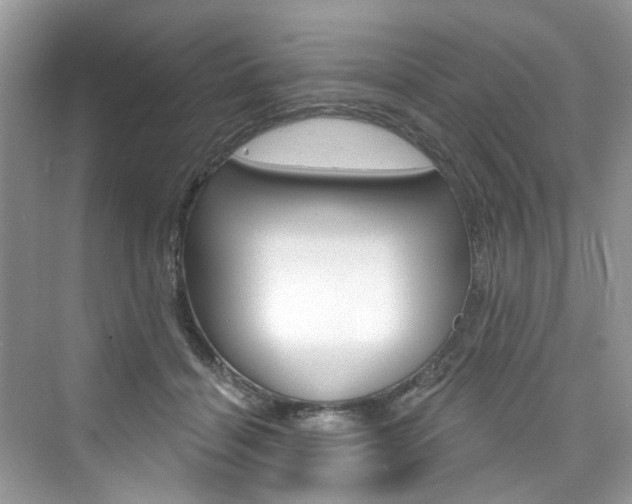 X0000076340460200609290923