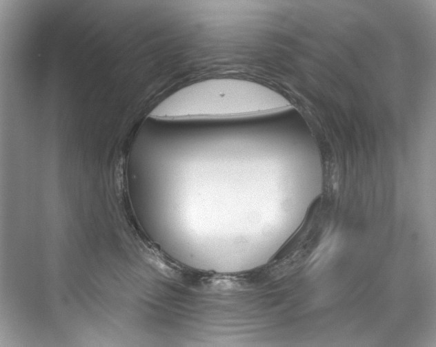 X0000076340475200609290923