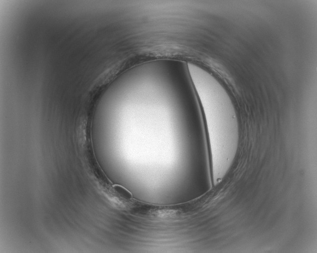 X0000076340501200609290922