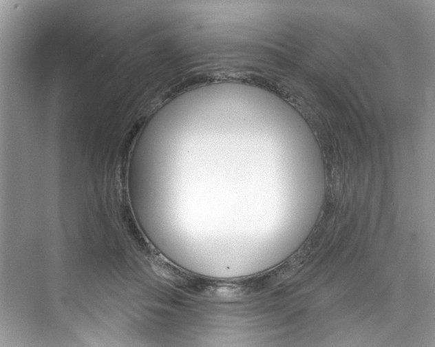 X0000076340506200609290922