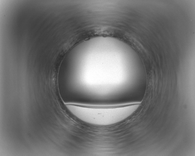 X0000076340513200609290922