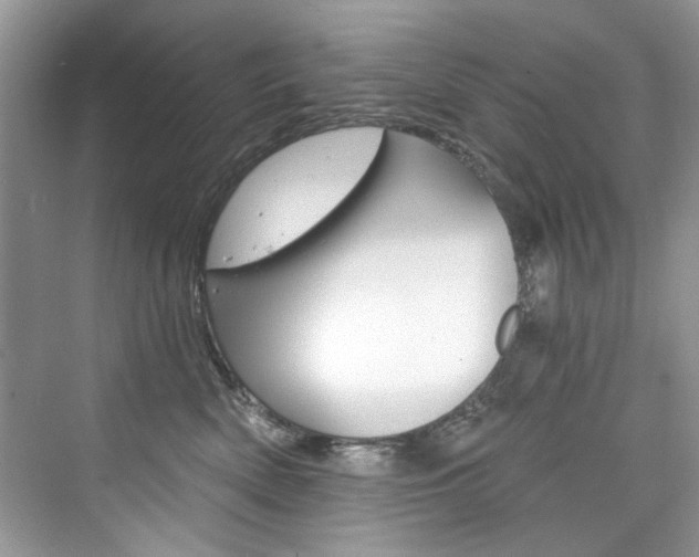X0000076340522200609290922