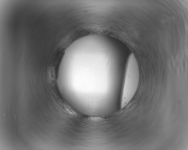 X0000076340528200609290922