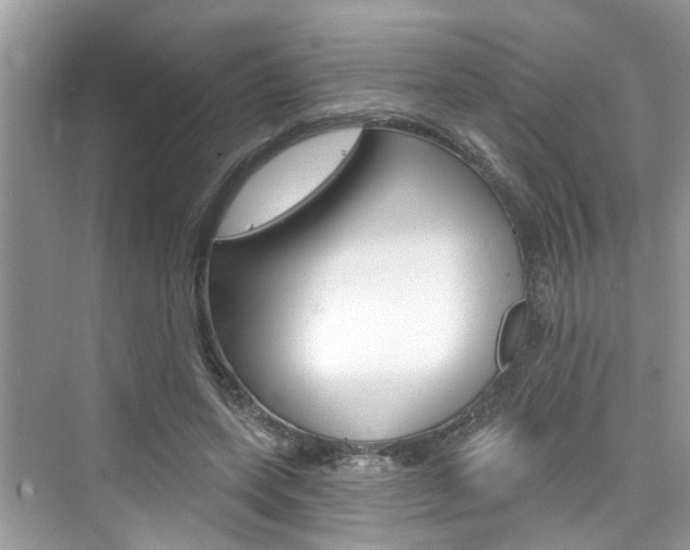 X0000076340543200609290921