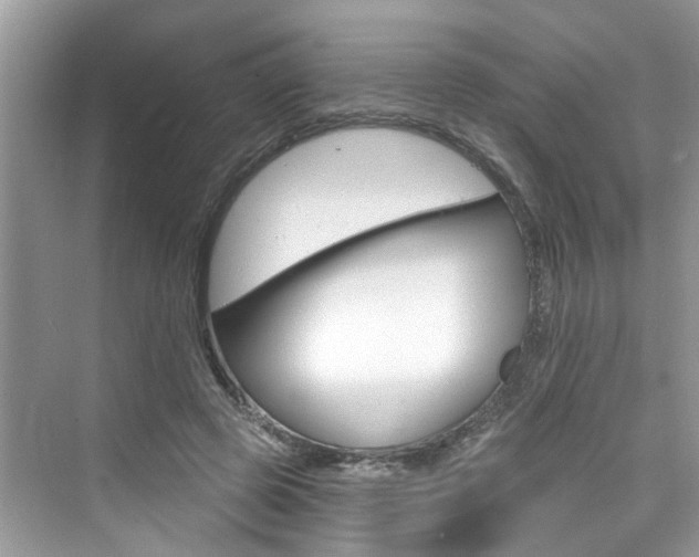 X0000076340545200609290921