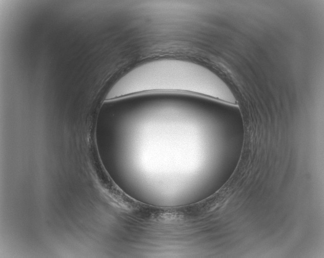 X0000076340546200609290921