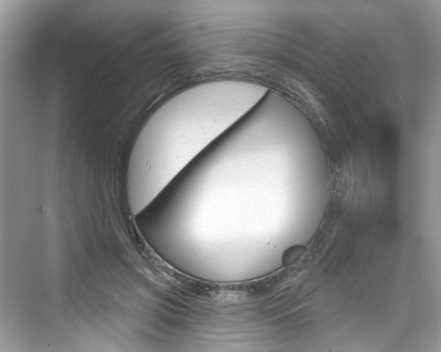 X0000076340549200609290921