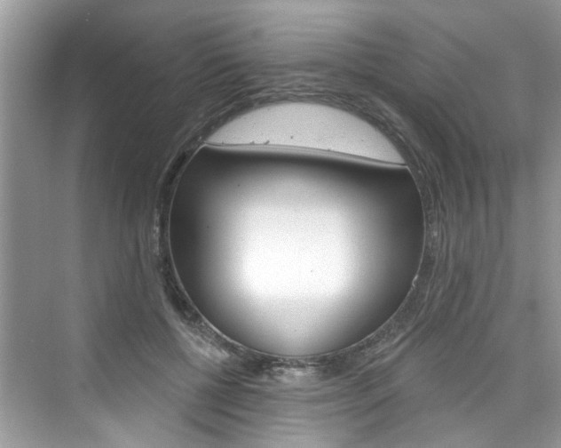 X0000076340552200609290921