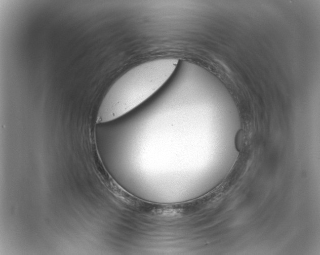 X0000076340553200609290921