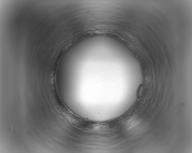 X0000076340555200609290921