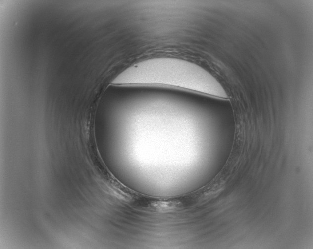 X0000076340558200609290921