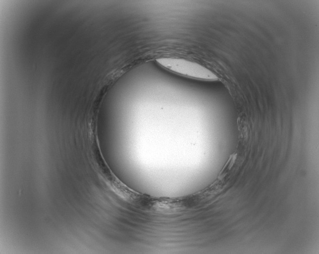 X0000076340568200609290922