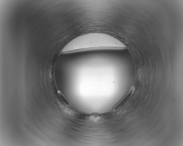 X0000076340570200609290922