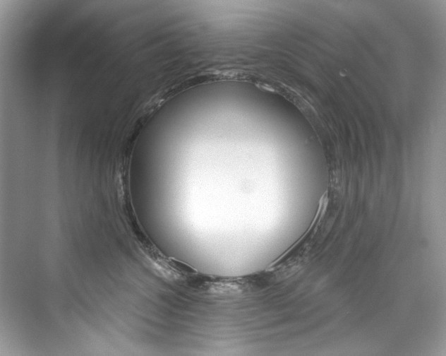 X0000076340572200609290922