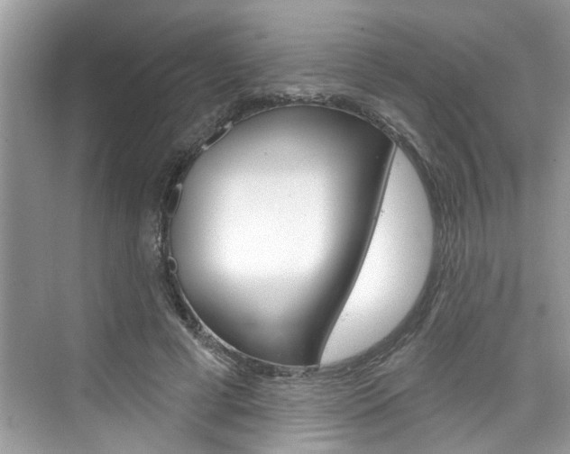 X0000076340593200609290921