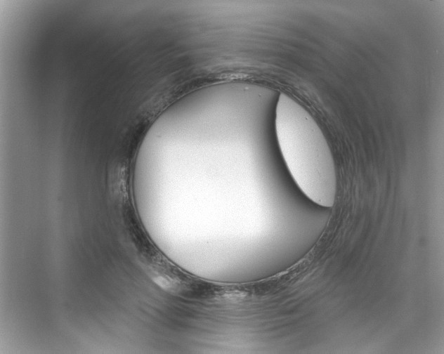 X0000076340598200609290921