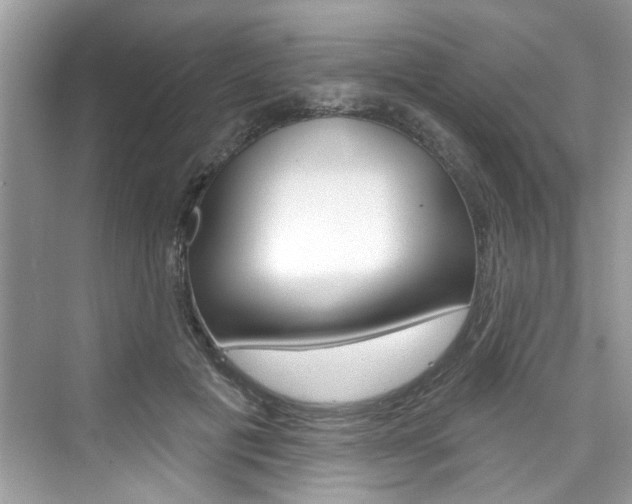 X0000076340601200609290921
