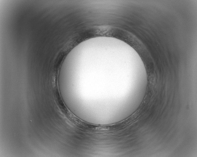 X0000076340602200609290921