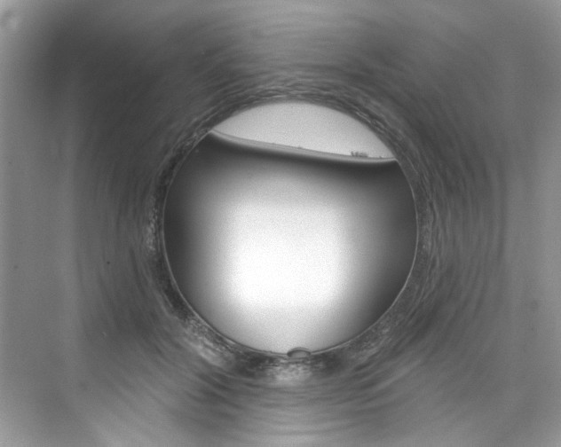 X0000076340604200609290921