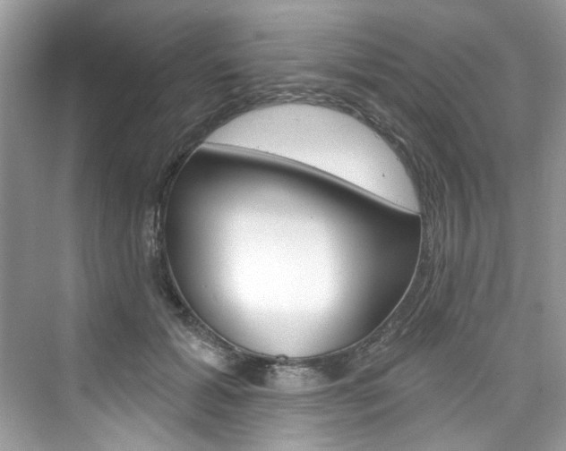 X0000076340605200609290921