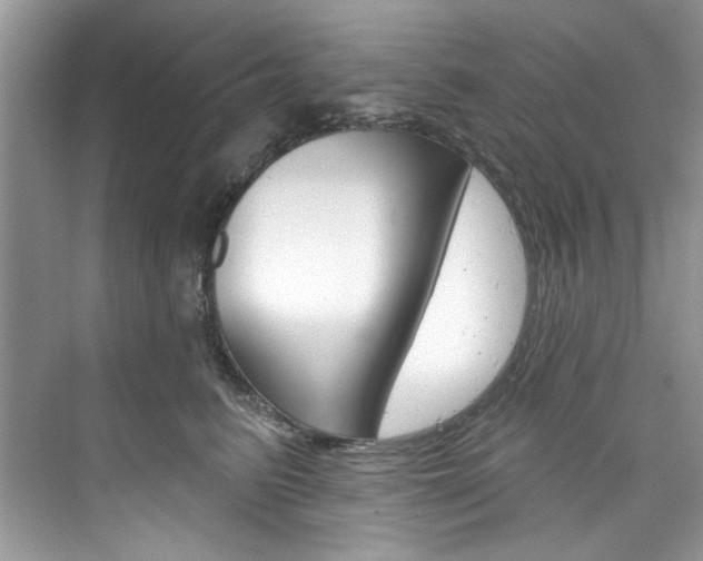 X0000076340615200609290920