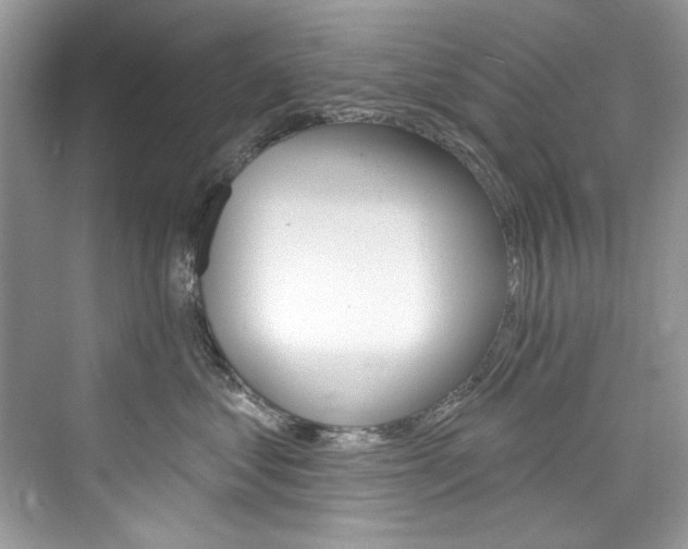 X0000076340621200609290920